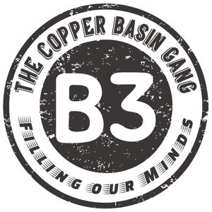 Team Page: B3 - The Copper Basin Gang